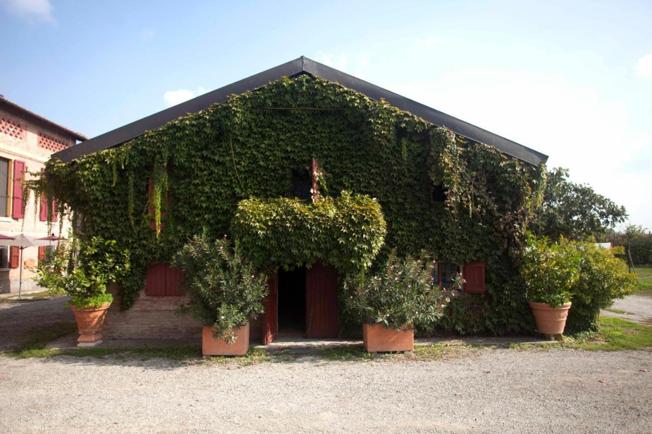 Agriturismo Il Bove 레조넬에밀리아 외부 사진